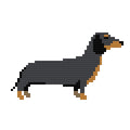 DIY Needlepoint Dachshund Dog Pattern | Digital Chart for Painting Your Own Canvas| Easy Needlepoint PDF | Instant Download | 18 Mesh