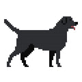 DIY Needlepoint Black Lab Dog Pattern | Digital Chart for Painting Your Own Canvas | Easy Needlepoint PDF | Instant Download | 18 Mesh