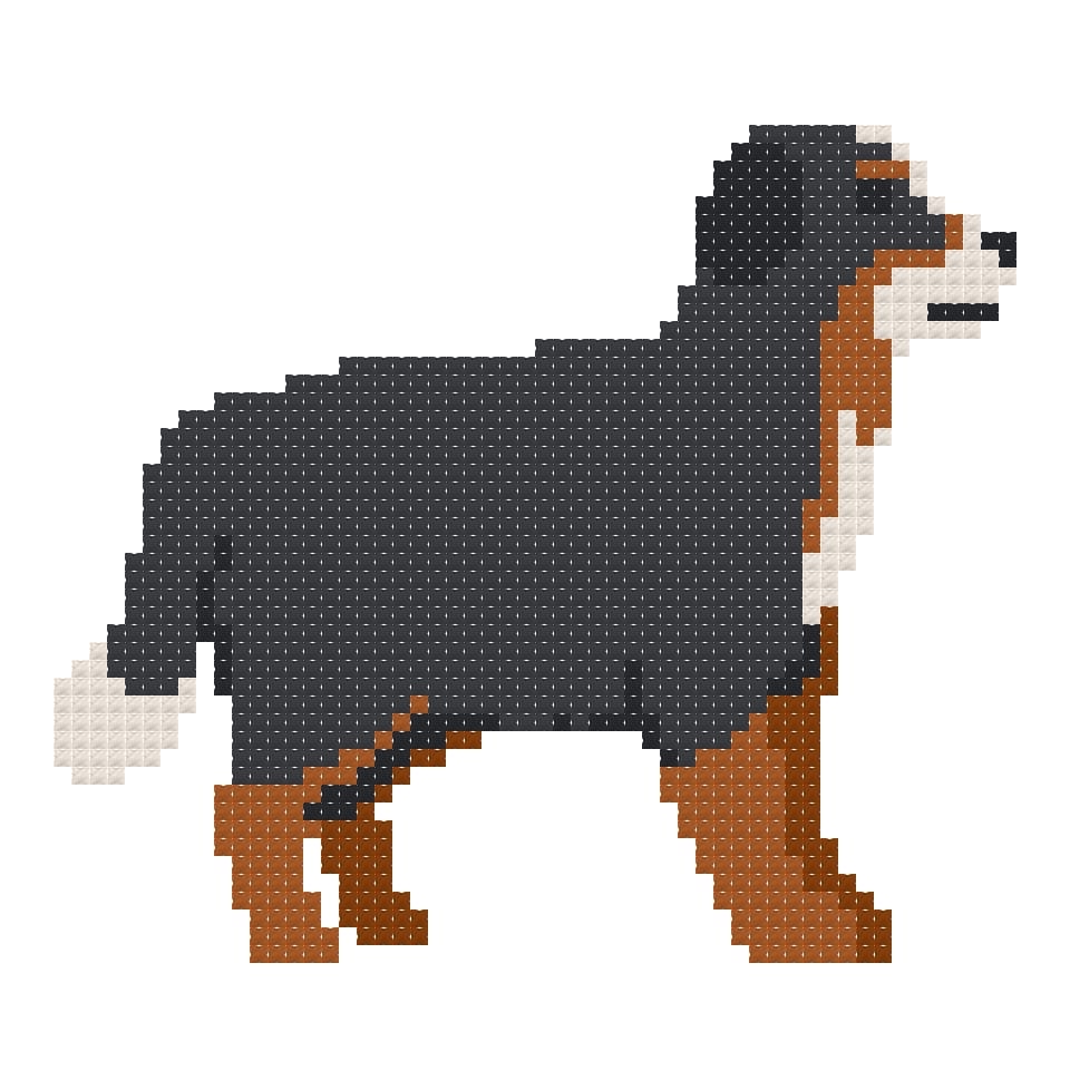 DIY Needlepoint Bernese Mountain Dog | Digital Chart for Painting Your Own Canvas | Easy Needlepoint PDF | Instant Download | 18 Mesh