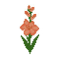 DIY Needlepoint Gladiolus Flower Pattern | Digital Chart for Painting Your Own Canvas | Easy Needlepoint PDF | Instant Download | 18 Mesh