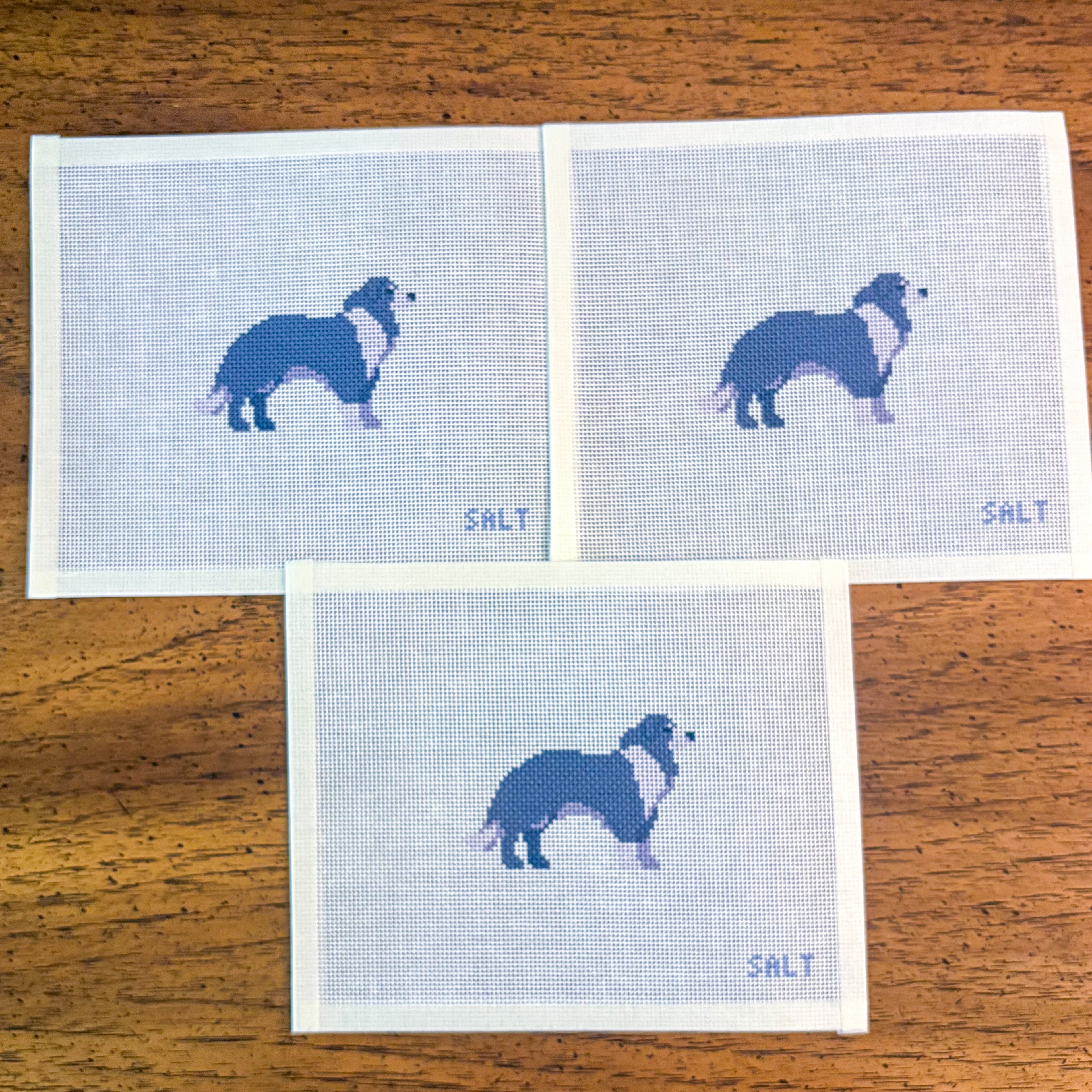 Border Collie Needlepoint Canvas
