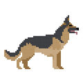 DIY Needlepoint German Shepherd Dog Pattern | Digital Chart for Painting Your Own Canvas| Easy Needlepoint PDF | Instant Download | 18 Mesh