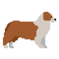 DIY Needlepoint Australian Shepherd Pattern | Digital Chart for Painting Your Own Canvas | Easy Needlepoint PDF | Instant Download | 18 Mesh