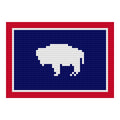 DIY Needlepoint Wyoming Flag Pattern | Digital Chart for Painting Your Own Canvas | Easy Needlepoint PDF | Instant Download | 18 Mesh