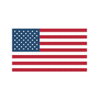 DIY Needlepoint USA Flag Pattern | Digital Chart for Painting Your Own Canvas | Easy Needlepoint PDF | Instant Download | 18 Mesh