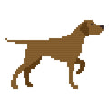 DIY Needlepoint Pointer Dog | Digital Chart for Painting Your Own Canvas| Easy Needlepoint PDF | Instant Download | 18 Mesh