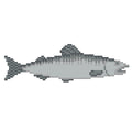 DIY Needlepoint Salmon Fish Pattern | Digital Chart for Painting Your Own Canvas| Easy Needlepoint PDF | Instant Download | 18 Mesh