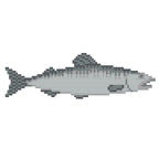 DIY Needlepoint Salmon Fish Pattern | Digital Chart for Painting Your Own Canvas| Easy Needlepoint PDF | Instant Download | 18 Mesh