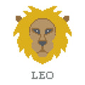 DIY Needlepoint Leo Zodiac Sign Pattern | Digital Chart for Painting Your Own Canvas | Easy Needlepoint PDF | Instant Download | 18 Mesh