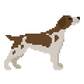 DIY Needlepoint Brittany Spaniel Pattern | Digital Chart for Painting Your Own Canvas | Easy Needlepoint PDF | Instant Download | 18 Mesh