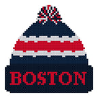 DIY Needlepoint Boston Winter Hat | Digital Chart for Painting Your Own Canvas | Easy Needlepoint PDF | Instant Download | 18 Mesh