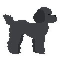 DIY Needlepoint Poddle (Black) Dog Pattern | Digital Chart for Painting Your Own Canvas| Easy Needlepoint PDF | Instant Download | 18 Mesh