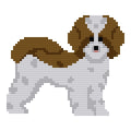 DIY Needlepoint Fluffy Dog (Brown and White) | Digital Chart for Painting Your Own Canvas| Easy Needlepoint PDF | Instant Download | 18 Mesh