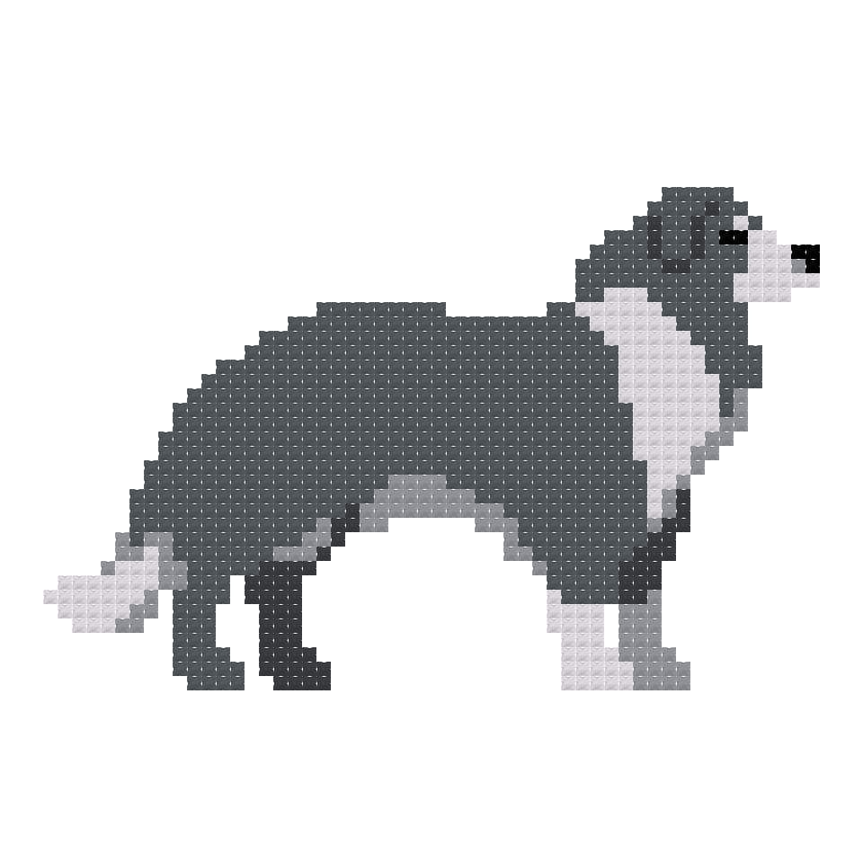 DIY Needlepoint Border Collie Dog Pattern | Digital Chart for Painting Your Own Canvas | Easy Needlepoint PDF | Instant Download | 18 Mesh