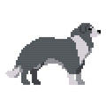 DIY Needlepoint Border Collie Dog Pattern | Digital Chart for Painting Your Own Canvas | Easy Needlepoint PDF | Instant Download | 18 Mesh