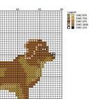 Nova Scotia Duck Tolling Retriever Needlepoint Chart | DIY Canvas (Digital Download)