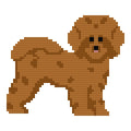 DIY Needlepoint Fluffy Dog (Golden Brown) | Digital Chart for Painting Your Own Canvas| Easy Needlepoint PDF | Instant Download | 18 Mesh