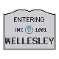 DIY Needlepoint MA Welcome Sign - Wellesley Pattern | Digital Chart for Painting Your Own Canvas | Easy Needlepoint PDF | Instant Download | 18 Mesh