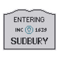DIY Needlepoint MA Welcome Sign - Sudbury Pattern | Digital Chart for Painting Your Own Canvas | Easy Needlepoint PDF | Instant Download | 18 Mesh