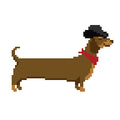 DIY Needlepoint Weiner Dog (Dachshund) in Cowboy Hat | Digital Chart for Painting Your Own Canvas | Easy Needlepoint PDF | Instant Download | 18 Mesh