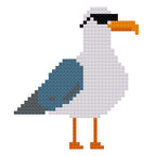Seagull Wearing Sunglasses