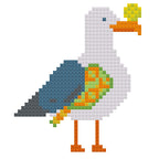 Seagull Playing Pickleball