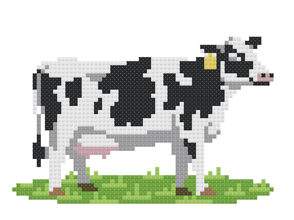 Dairy Cow