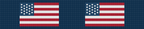 Navy American Flag Key Fob