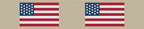 Khaki American Flag Key Fob