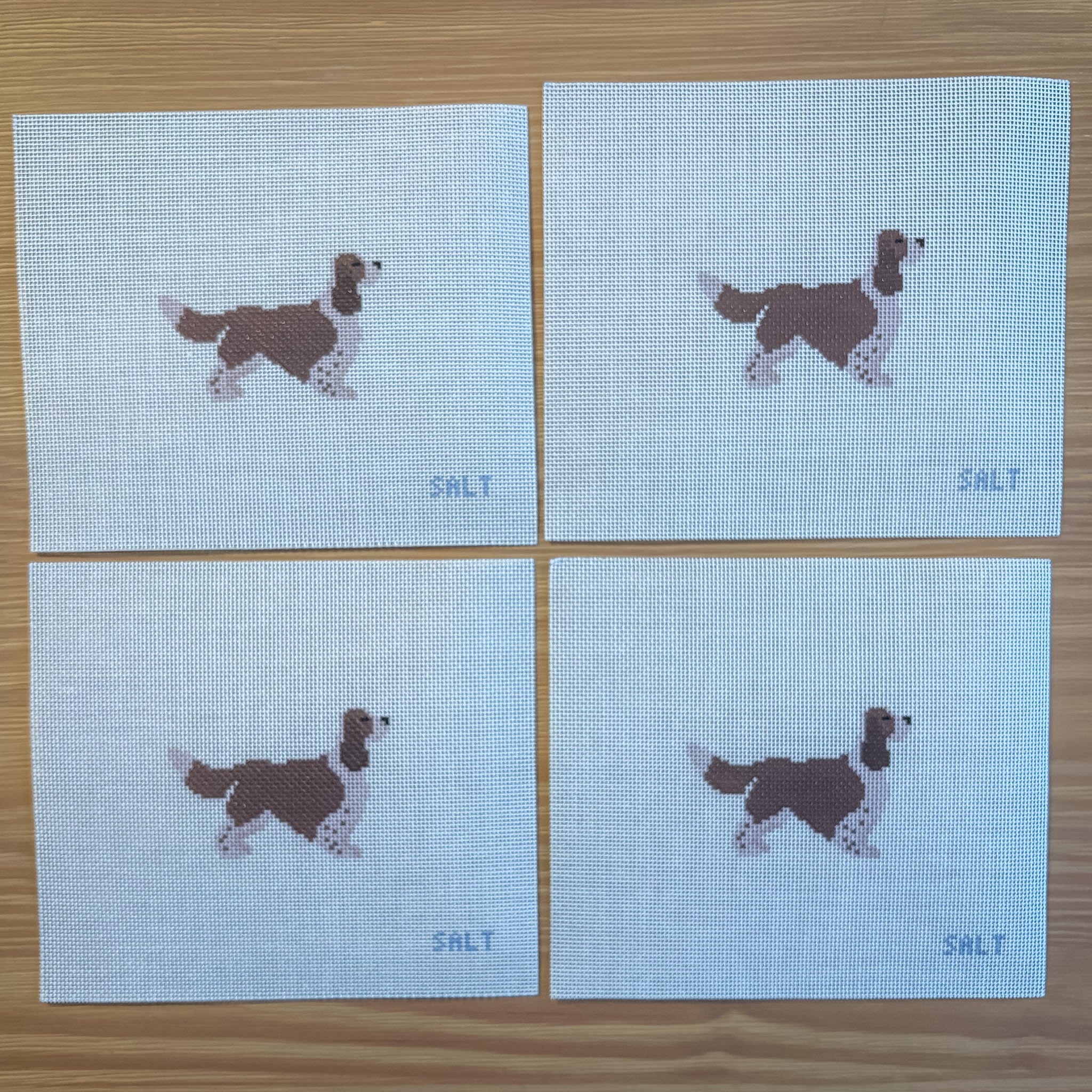 Springer Spaniel Needlepoint Canvas
