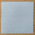 Blank Canvas - 18 Mesh - 8"x8"