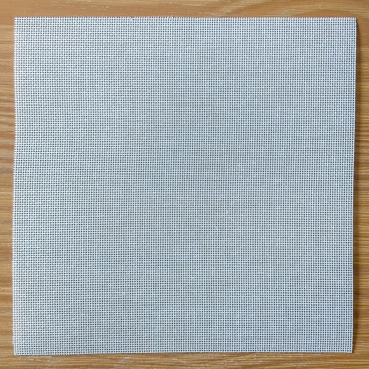 Blank Canvas - 18 Mesh - 8"x8"