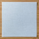 Blank Canvas - 13 Mesh - 8"x8"