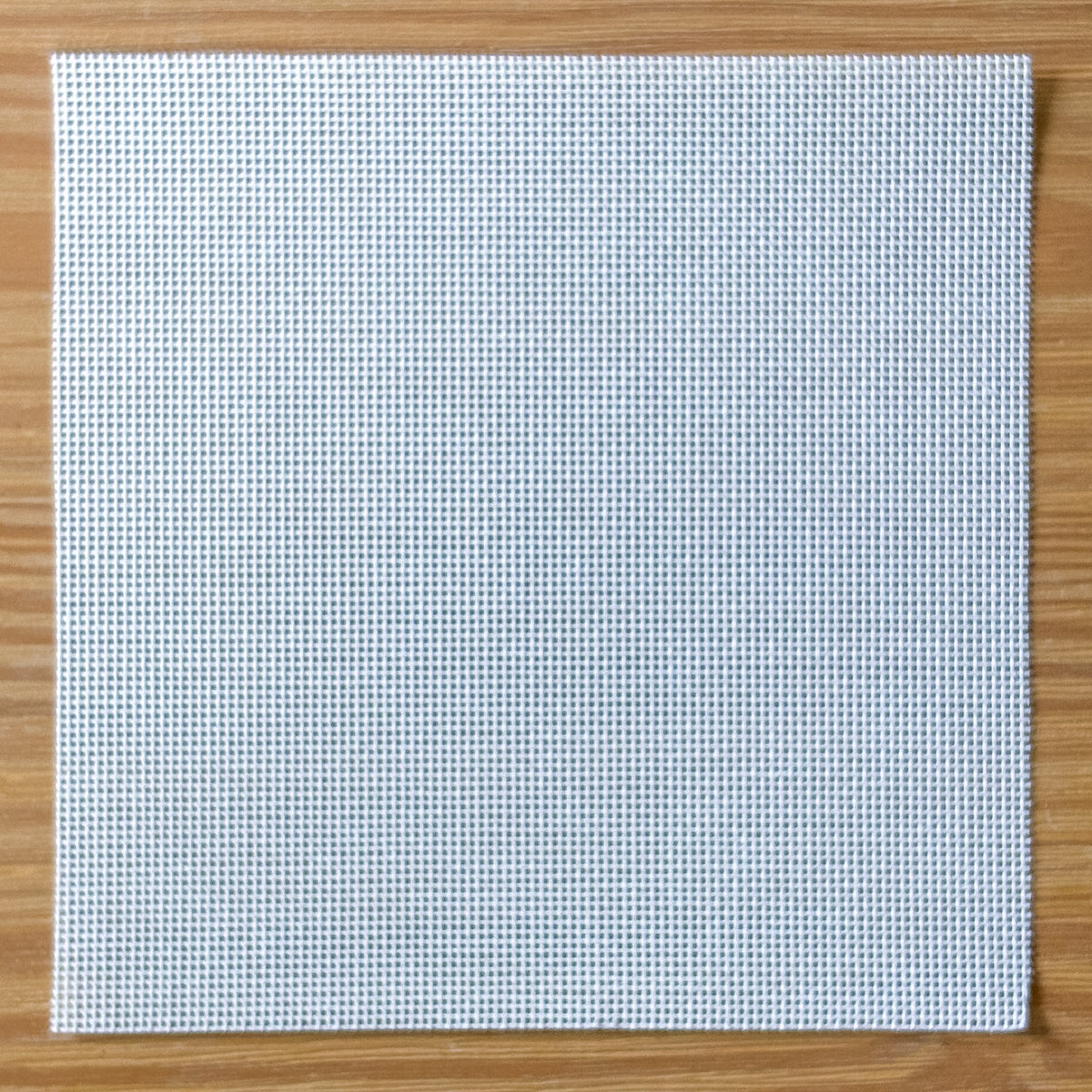 Blank Canvas - 13 Mesh - 8"x8"