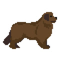 DIY Needlepoint Newfoundland Dog Pattern | Digital Chart for Painting Your Own Canvas| Easy Needlepoint PDF | Instant Download | 18 Mesh