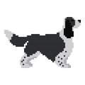 DIY Needlepoint Springer Spaniel (B&W) Pattern | Digital Chart for Painting Your Own Canvas| Easy Needlepoint PDF| Instant Download| 18 Mesh