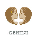 DIY Needlepoint Gemini Zodiac Sign Pattern | Digital Chart for Painting Your Own Canvas | Easy Needlepoint PDF | Instant Download | 18 Mesh