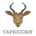 DIY Needlepoint Capricorn Zodiac Sign Pattern | Digital Chart for Painting Your Own Canvas| Easy Needlepoint PDF| Instant Download | 18 Mesh