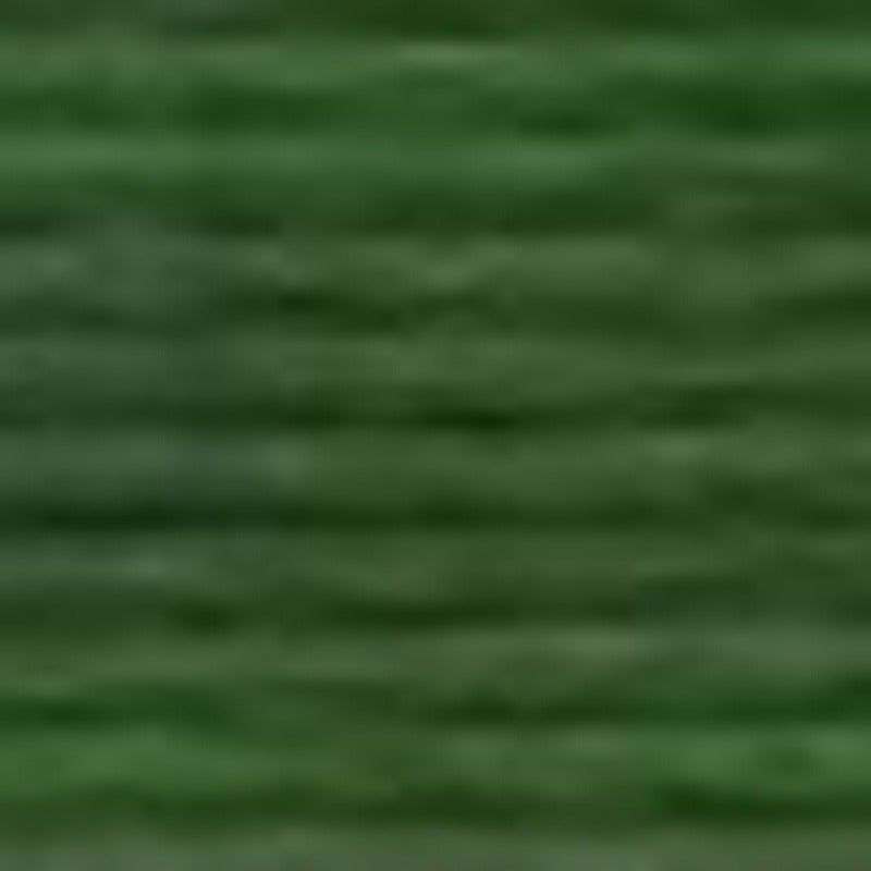 DMC 904 Very Dark Parrot Green (Pearl 5)