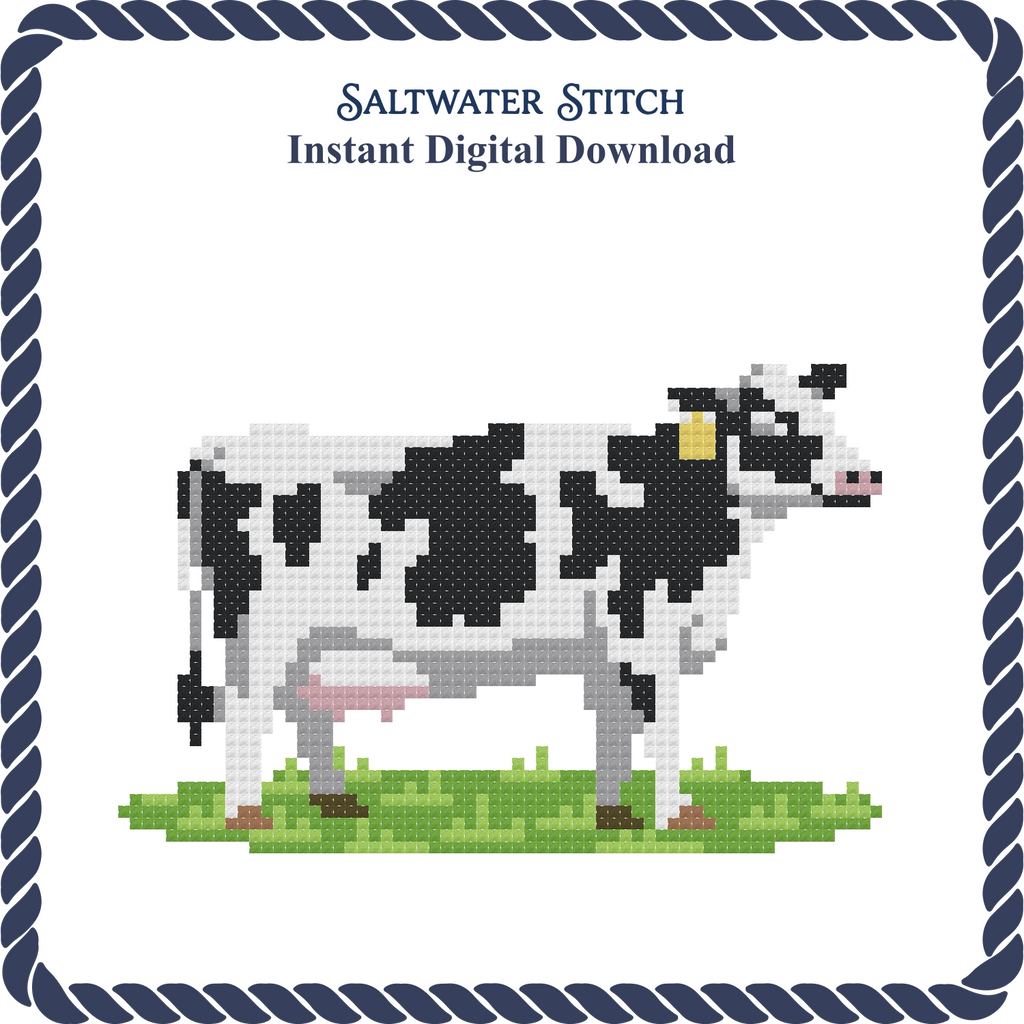 Dairy Cow