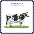 Dairy Cow