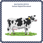 Dairy Cow