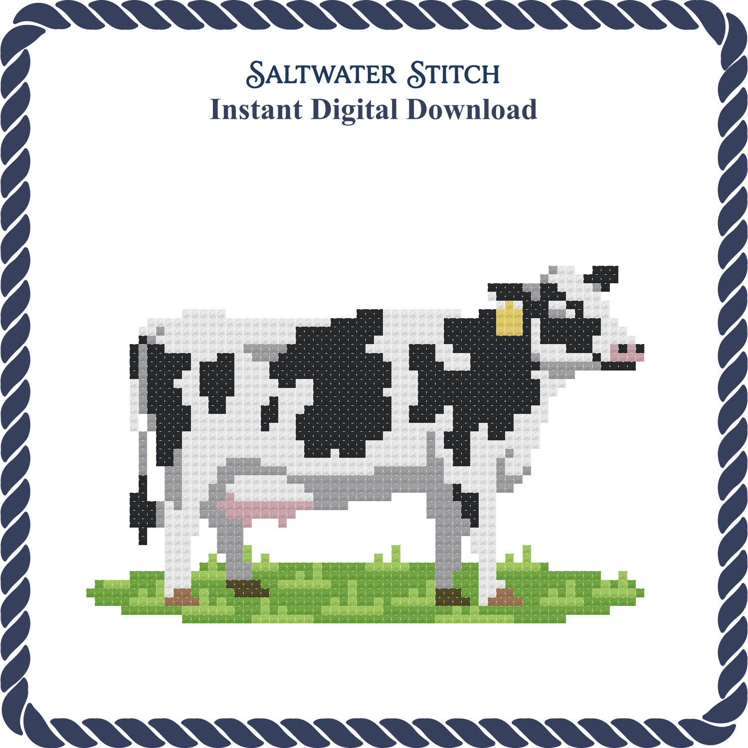 Dairy Cow