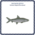Bonefish