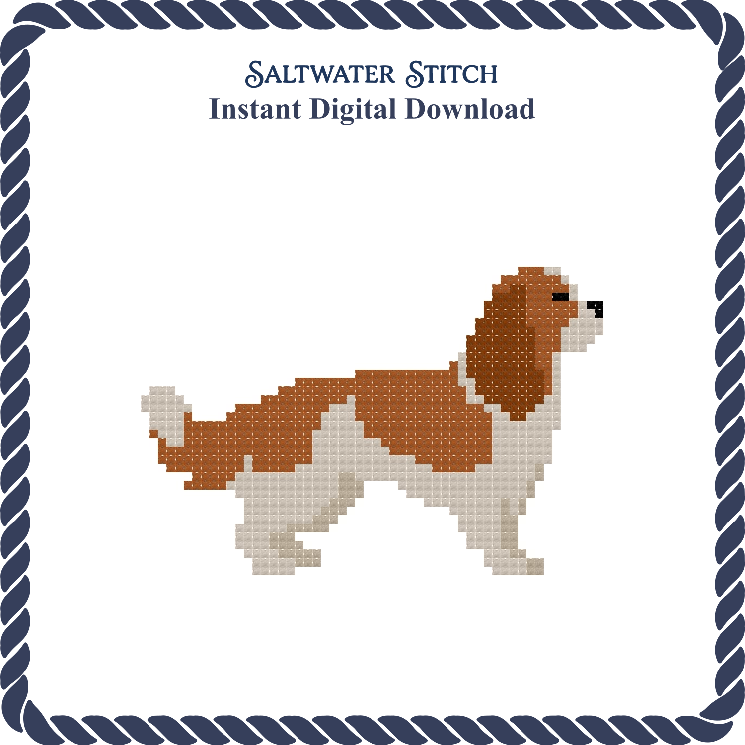 Cavalier King Charles Spaniel