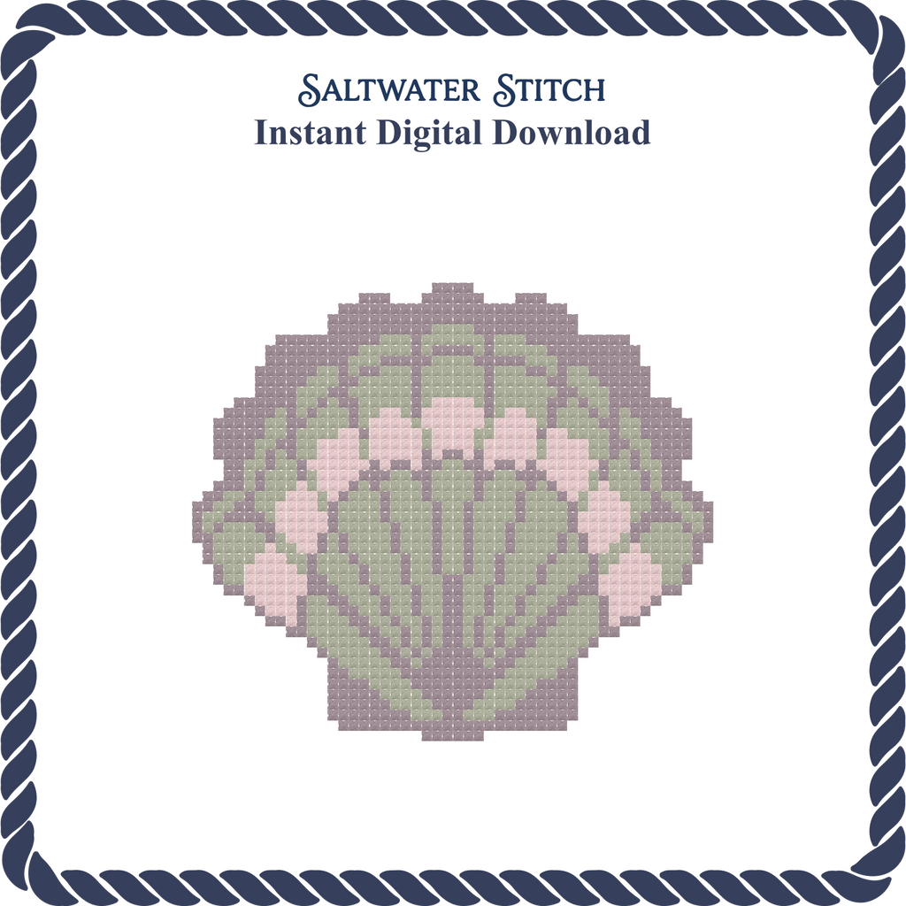 Multicolored Scallop Shell 3