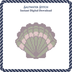 Multicolored Scallop Shell 3