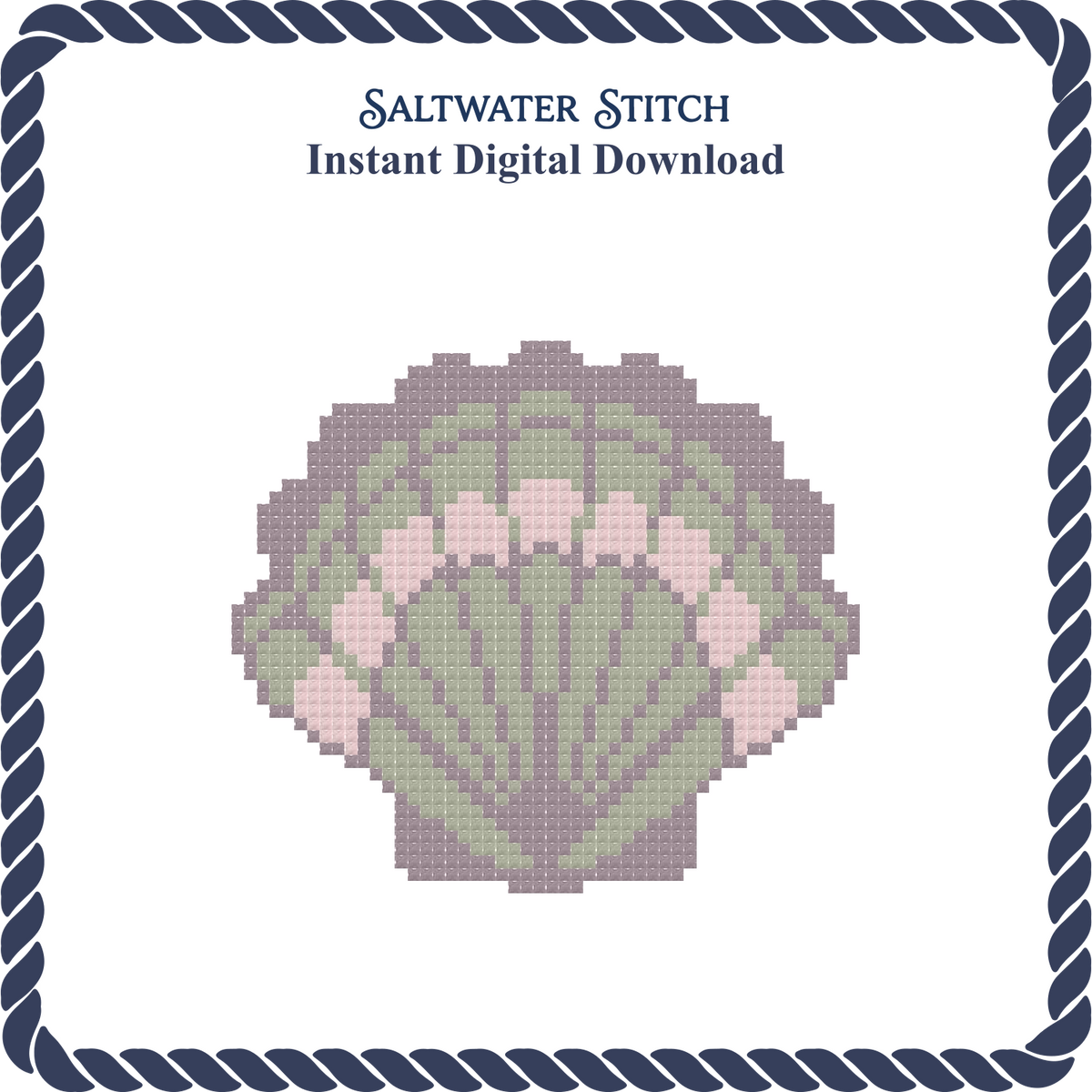 Multicolored Scallop Shell 3