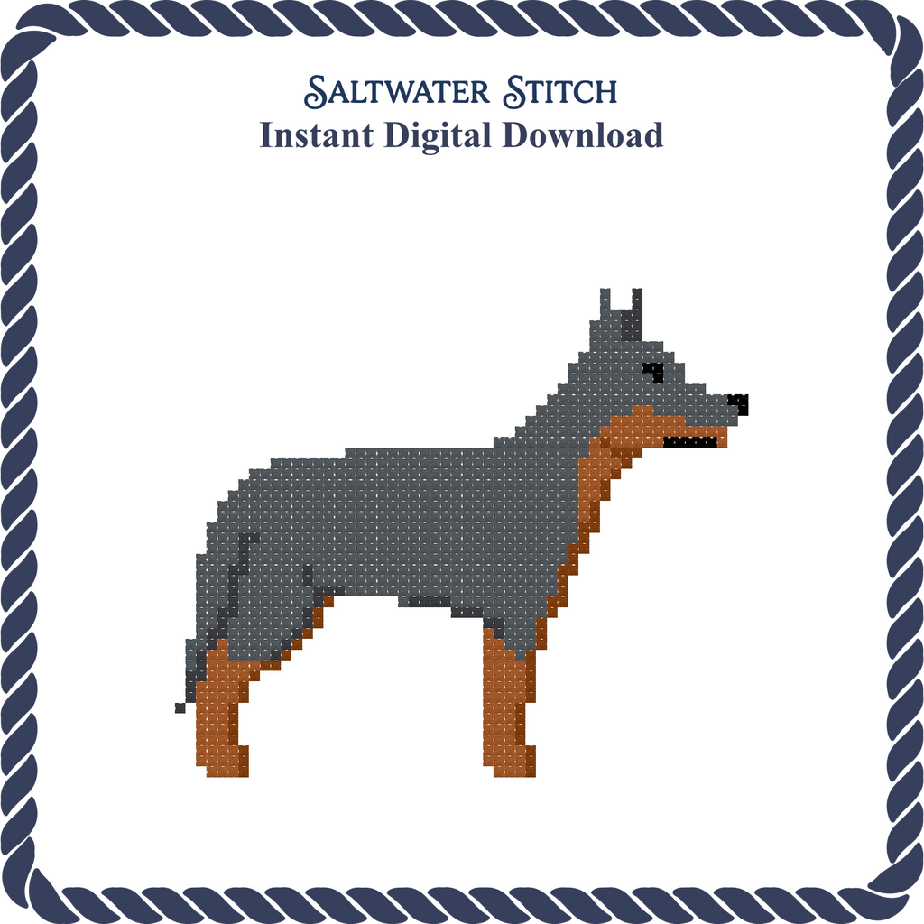 Blue Heeler Dog