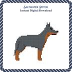 Blue Heeler Dog